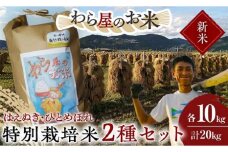 【令和7年産 新米 先行予約】 【わら屋のお米】 特別栽培米2種セット 「はえぬき･ひとめぼれ」 各10kg (計20kg) 《令和7年10月下旬～発送》 『おがわ藁農園』 米 白米 精米 ご飯 農家直送 セット 食べ比べ 山形県 南陽市  [2169-R7]