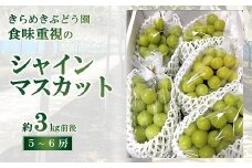 【令和7年産先行予約】 シャインマスカット 3kg前後 (5～6房入り) 《令和7年9月下旬～発送》 『きらめきぶどう園』 マスカット ぶどう 果物 フルーツ デザート 山形南陽産 山形県 南陽市 [2426]