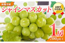 【令和8年産先行予約】 【山形県ぶどう品評会 最優秀賞受賞農家】 シャインマスカット 700g以上 (1房 秀以上) 《令和8年9月中旬～発送》 『青木農園』 マスカット ぶどう 種なし 果物 フルーツ デザート 山形県 南陽市 [634-R8]