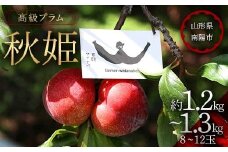 【令和8年産先行予約】 高級プラム ｢秋姫｣ 約1.2～1.3kg (8～12玉) 《令和8年9月～発送》 『最上園』 山形県 南陽市 [685-R8]