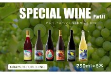 グレリパ スペシャル 6本セット part.2 750ml × 6本 『(株)グレープリパブリック』 微発砲ワイン 白ワイン オレンジワイン 赤ワイン 山形県 南陽市 [2421]