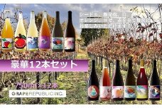 グレリパ 豪華 12本セット 750ml × 12本 『(株)グレープリパブリック』 シードル 微発砲ワイン 白ワイン オレンジワイン ロゼワイン 赤ワイン 山形県 南陽市 [2423]