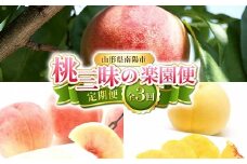 【令和8年産先行予約】 《定期便3回》 桃三昧の楽園便 『フードシステムズ』 もも モモ 果物 フルーツ 山形県 南陽市 [2257-R8]
