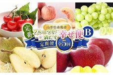 【令和8年産先行予約】 《定期便5回》 定番フルーツで満たす幸せ便B 『フードシステムズ』 さくらんぼ 桃 シャインマスカット ラ・フランス りんご 果物 フルーツ 山形県 南陽市 [2259-R8]