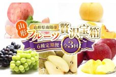 【令和8年産先行予約】 《定期便3回》 山形フルーツ贅沢宝箱6種便 『フードシステムズ』 桃 シャインマスカット ピオーネ ラ・フランス りんご 果物 フルーツ 山形県 南陽市 [2262-R8]