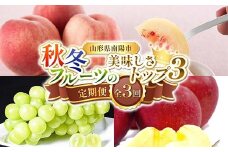 【令和8年産先行予約】 《定期便3回》 秋冬フルーツの美味しさトップ3定期便 『フードシステムズ』 桃 シャインマスカット りんご 果物 フルーツ 山形県 南陽市 [2263-R8]