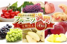 【令和8年産先行予約】 《定期便6回》 フルーツ満喫定期便A 『フードシステムズ』 さくらんぼ デラウェア 桃 シャインマスカット ラ・フランス りんご 果物 フルーツ 山形県 南陽市 [1138-R8]