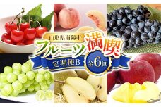 【令和8年産先行予約】 《定期便6回》 フルーツ満喫定期便B 『フードシステムズ』 さくらんぼ 桃 ぶどう シャインマスカット ラ・フランス りんご 果物 フルーツ 山形県 南陽市 [1139-R8]