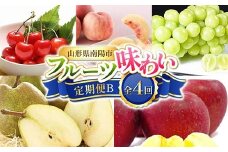 【令和8年産先行予約】 《定期便4回》 フルーツ味わい定期便B 『フードシステムズ』 さくらんぼ 桃 シャインマスカット ラ・フランス りんご 果物 フルーツ 山形県 南陽市 [1141-R8]