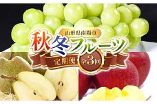 【令和8年産先行予約】 《定期便3回》 秋冬フルーツ定期便 『フードシステムズ』 シャインマスカット ラ・フランス りんご 果物 フルーツ 山形県 南陽市 [1150-R8]