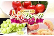 【令和8年産先行予約】 《定期便3回》 人気フルーツ定期便 『フードシステムズ』 さくらんぼ 桃 シャインマスカット 果物 フルーツ 山形県 南陽市 [1149-R8]