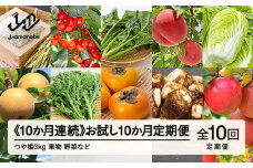 山形県産  10カ月連続  お試し10か月定期便  産直 やまのべ温泉市  野菜 果物 米  F20A-568 ※沖縄・離島への配送不可