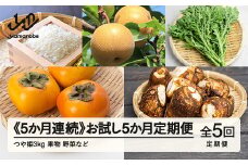 山形県産  5カ月連続 お試し5か月定期便  産直 やまのべ温泉市  野菜 果物 米  F20A-566 ※沖縄・離島への配送不可