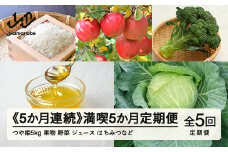 山形県産  5カ月連続 満喫5か月定期便  産直 やまのべ温泉市  野菜 果物 米  F20A-570 ※沖縄・離島への配送不可