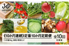 山形県産  10カ月連続  定番10か月定期便  産直 やまのべ温泉市  野菜 果物 米  F20A-569 ※沖縄・離島への配送不可