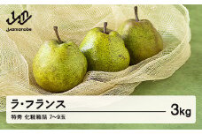 《先行予約》山形県産  西洋梨（ラ･フランス) 約3kg 2025年産 令和7年産 特秀 化粧箱詰（7～9玉）F20A-072