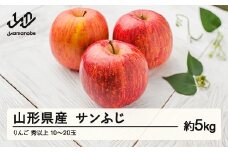《先行予約》2025年 山形県産 サンふじりんご 秀以上 5kg（10~20玉）2025年12月上旬から順次発送 果物 くだもの フルーツ 秋果実 林檎 リンゴ F20A-148