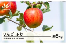 《先行予約》2025年産 渡辺果樹園 完熟無袋 りんご ふじ 約5kg（20玉程度）中玉 2025年12月上旬より順次発送 秋果実 果物 フルーツ サンふじ F20A-142