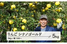 《先行予約》令和7年産 2025年 山形県産 りんご シナノゴールド 約5kg (13~23玉)  果物 ※沖縄・離島への配送不可 F20A-727