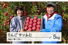 《先行予約》令和7年産 2025年 山形県産 りんご サンふじ 約5kg(11~20玉) 果物 ※沖縄・離島への配送不可 F20A-728