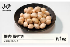 ≪先行予約≫2025年 山形県産 銀杏 殻付き M 約1kg（200g×5パック）2025年10月中旬から順次発送 ぎんなん おつまみ 真空パック 個包装 小分け 秋 野菜 F20A-729