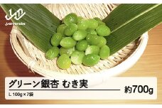 《先行予約》2025年 山形県産 グリーン銀杏 むき実 L 約700g(100g×7) 2025年9月中旬から順次発送 銀杏 ぎんなん おつまみ 秋 野菜 期間限定 F20A-734
