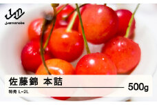 《先行予約》贈答用 2025年 山形県産 さくらんぼ 佐藤錦 500g 本詰 特秀 L～2L 2025年6月10日頃から順次発送 F20A-022