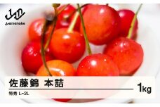 《先行予約》贈答用 2025年 山形県産 さくらんぼ 佐藤錦 1kg 特秀 L～2L 本詰 2025年6月10日頃から順次発送 F20A-026