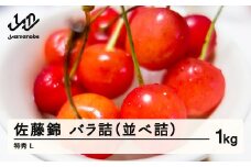 《先行予約》2025年 山形県産 さくらんぼ 佐藤錦 バラ詰（並べ詰）1kg 特秀 L 2025年6月10日頃から順次発送 F20A-020