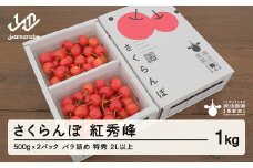 《先行予約》2025年 山形県産 さくらんぼ 紅秀峰  1kg(500g×2)  バラ詰め(パック) 特秀 2L以上 2025年6月下旬から順次発送 F20A-528