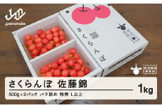 《先行予約》2025年 山形県産 さくらんぼ 佐藤錦 1kg(500g×2) バラ詰め(パック) 特秀 L以上 2025年6月中旬から順次発送 F20A-527