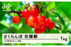 《先行予約》2025年 山形県産 さくらんぼ 相澤農園 佐藤錦 1kg 秀 M～L 混合 バラ詰 2025年6月中旬から順次発送 F20A-111