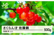 《先行予約》贈答用 2025年 山形県産 さくらんぼ 相澤農園 佐藤錦 500g 秀L以上・化粧詰 2025年6月中旬から順次発送  F20A-112