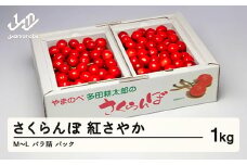 《先行予約》2025年 山形県産 紅さやか バラ詰め(パック）1kg M～L やまのべ多田耕太郎のさくらんぼ サクランボ F20A-037