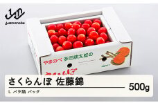 《先行予約》2025年 山形県産 佐藤錦 バラ詰め(パック）500g やまのべ多田耕太郎のさくらんぼ サクランボ F20A-038