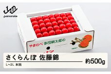 《先行予約》2025年 山形県産 佐藤錦 本詰め 約500g L~2L やまのべ多田耕太郎のさくらんぼ サクランボ F20A-042