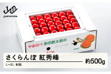 《先行予約》2025年 山形県産 紅秀峰 本詰め 約500g L~2L やまのべ多田耕太郎のさくらんぼ サクランボ F20A-046