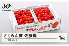 《先行予約》2025年 山形県産 佐藤錦 バラ詰め（パック）1kg やまのべ多田耕太郎のさくらんぼ サクランボ F20A-048