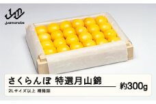 《先行予約》2025年 山形県産 特選月山錦 桐箱詰め約300g やまのべ多田耕太郎のさくらんぼ サクランボ F20A-051