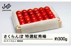 《先行予約》2025年 山形県産 特選紅秀峰 桐箱詰め 約300g 2L以上 やまのべ多田耕太郎のさくらんぼ サクランボ F20A-049