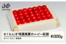 《先行予約》2025年 山形県産 特選「真夏のルビー紅姫」 桐箱詰め約300g やまのべ多田耕太郎のさくらんぼ サクランボ F20A-052