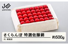 《先行予約》2025年 山形県産 特選佐藤錦 桐箱詰め 約500g 2L やまのべ多田耕太郎のさくらんぼ サクランボ F20A-505