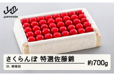 《先行予約》2025年 山形県産 特選佐藤錦 桐箱詰め 約700g 2L やまのべ多田耕太郎のさくらんぼ サクランボ F20A-055