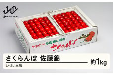 《先行予約》2025年 山形県産 佐藤錦 本詰 約1kg L~2L やまのべ多田耕太郎のさくらんぼ サクランボ F20A-053