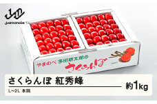 《先行予約》2025年 山形県産 紅秀峰 本詰約1kg L~2L やまのべ多田耕太郎のさくらんぼ サクランボ F20A-054