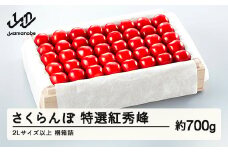 《先行予約》2025年 山形県産 特選紅秀峰 桐箱詰め 約700g 2L以上 やまのべ多田耕太郎のさくらんぼ サクランボ F20A-056