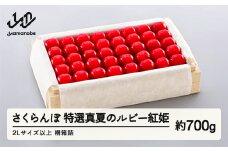 《先行予約》2025年 山形県産 特選「真夏のルビー紅姫」 桐箱詰め約700g やまのべ多田耕太郎のさくらんぼ サクランボ F20A-059