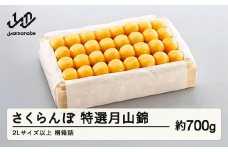《先行予約》2025年 山形県産 特選月山錦 桐箱 約700g 2L以上 やまのべ多田耕太郎のさくらんぼ サクランボ F20A-058