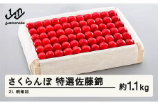 《先行予約》2025年 山形県産 特選佐藤錦 桐箱詰め 約1100g やまのべ多田耕太郎のさくらんぼ サクランボ F20A-060