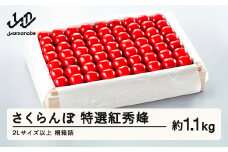 《先行予約》2025年 山形県産 特選紅秀峰 桐箱詰め 約1100g 2L以上 やまのべ多田耕太郎のさくらんぼ サクランボ F20A-061